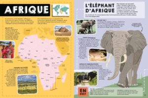 Le guide des animaux-Afrique