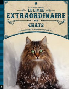 Le Livre extraordinaire des chats-lesenfantsalapage