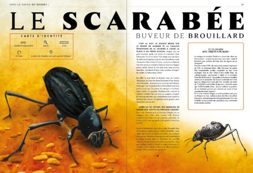 Le grand livre des animaux de l'extrême-le scarabée